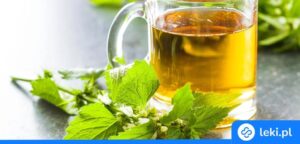 Moczopędne herbaty jako naturalne wsparcie dla nerek i ogólnego zdrowia