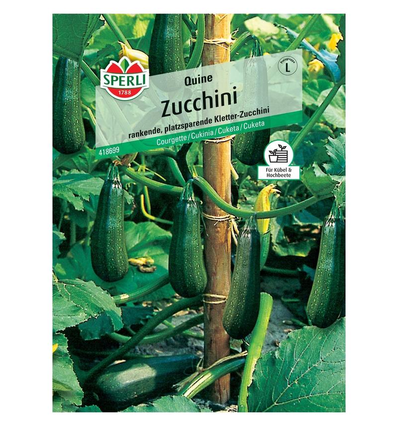 Przepis na placki z cukinii