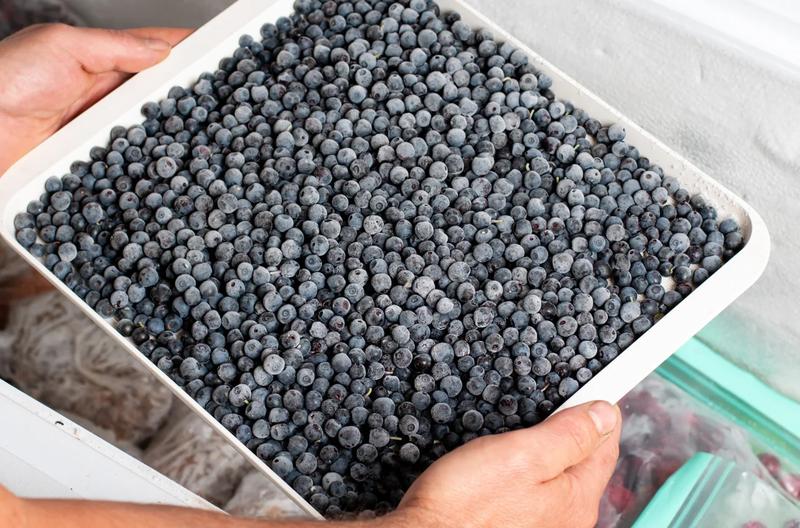 Przepisy z mrożonymi borówkami