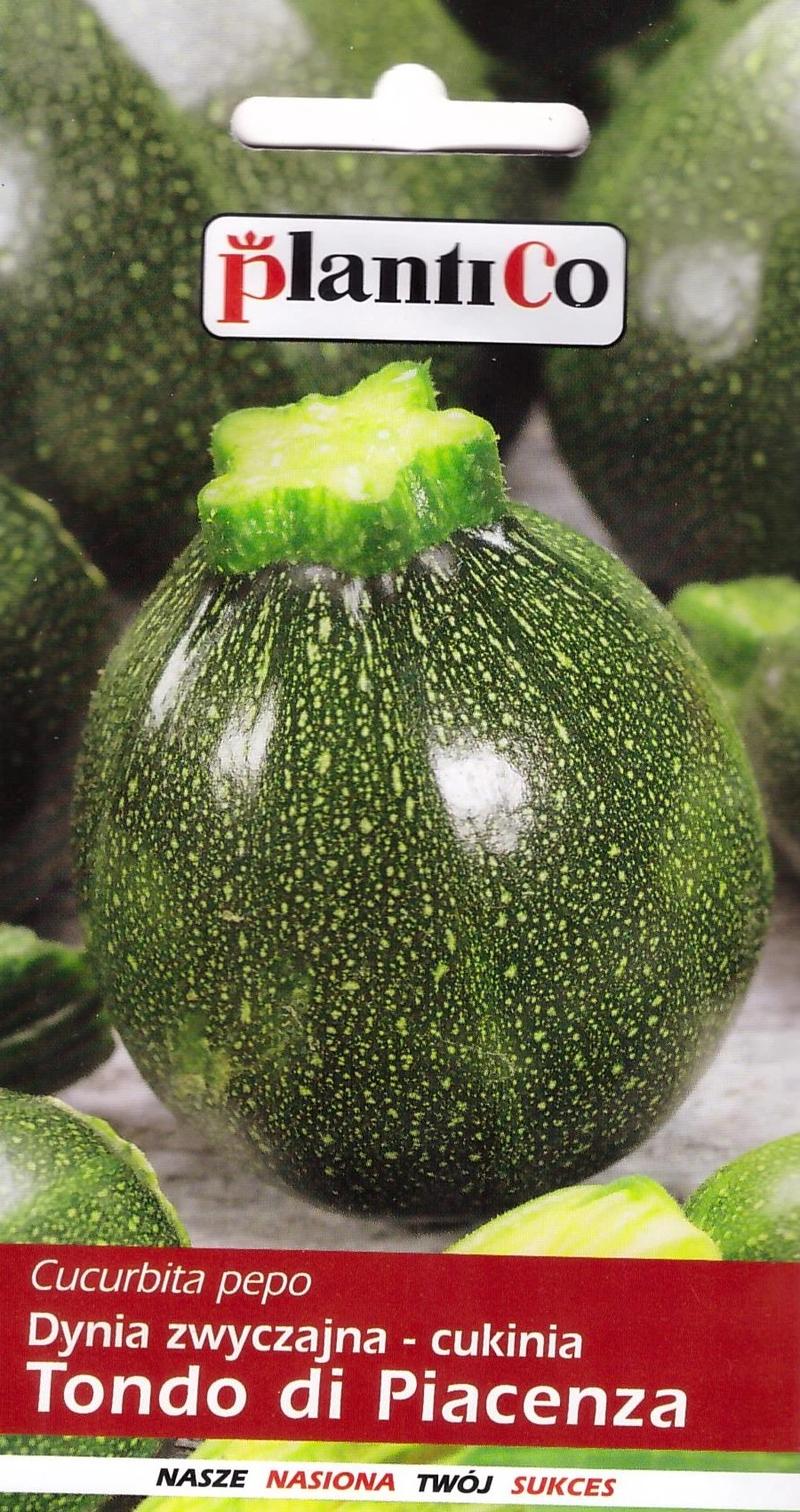 Składniki placków z cukinii