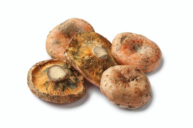 Jak mrozić i przygotowywać rydze