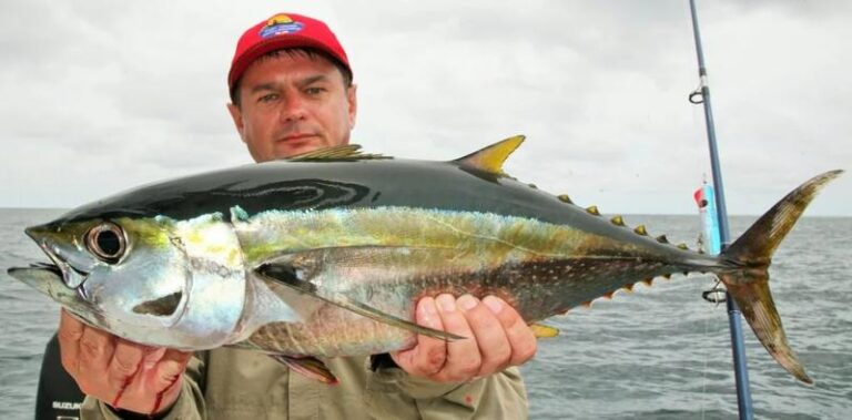 Jak wybrać idealnego tuńczyka do sałatki? Porównanie zalet i wad dla doskonałego smaku